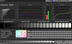 CalMAN Niveaux de gris