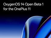OnePlus propose désormais Android 14 en version bêta pour le OnePlus 11. (Image source : OnePlus)