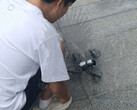 Le DJI Mini 5 Pro est déjà en phase de test. (Source de l'image : Igor Bogdanov)