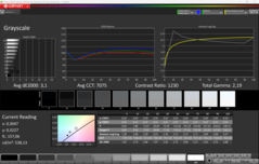 CalMAN Niveaux de gris