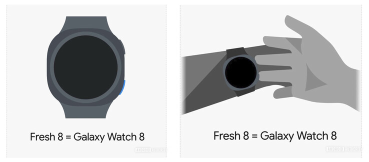 (Source : Android Authority)