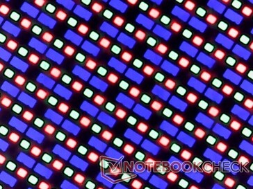 Matrice de sous-pixels OLED. Malheureusement, l'écran présente un grain sensiblement plus important qu'un écran IPS brillant