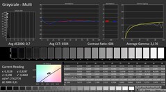 CalMAN : Echelles de gris (calibrées)