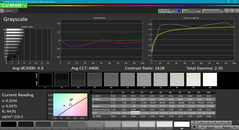 Echelle de gris avant calibration