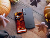 Les S22 et S22+ pourraient être lancés avec un look familier. (Source : LetsGoDigital)
