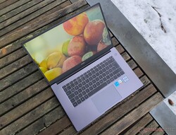 En examen : Huawei MateBook D 15 Intel (2021), fourni par Huawei Allemagne.