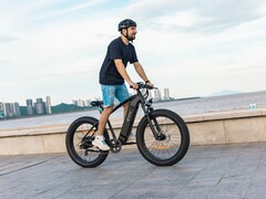 Le vélo électrique DYU King 750 à gros pneus a une vitesse maximale de 45 km/h (~28 mph). (Image source : DYU)