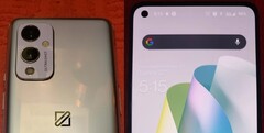 Le prototype OnePlus 9 5G révélé dans une nouvelle série d'images en direct. (Source de l'image : PhoneArena)