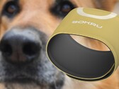 Le capteur portable Sokru, inspiré de la truffe du chien, détecte les composés organiques volatils. (Source de l'image : Lakka/Unsplash - édité)