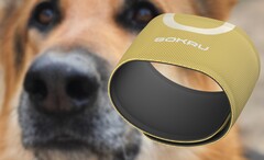 Le capteur portable Sokru, inspiré de la truffe du chien, détecte les composés organiques volatils. (Source de l'image : Lakka/Unsplash - édité)