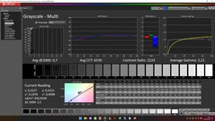 CalMAN : Échelles de gris (calibrées)