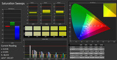 Lenovo ThinkPad X380 Yoga - CalMAN : Saturation.