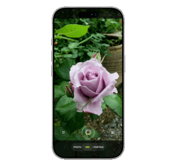 Siri devrait être intégré pour la première fois dans l'application Appareil photo, intégrant l'intelligence visuelle pour identifier les objets via des services d'IA externes tels que Google et ChatGPT, selon la fuite.