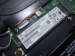 Le TravelMate P6 n'offre qu'un seul emplacement M.2 2280 pour les disques SSD NVMe