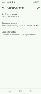 Version de Chrome préinstallée : 131 (Source de l'image : Capture d'écran - Sergey Tarasov - Notebookcheck)