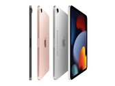 Ces rendus conceptuels montrent l'iPad mini redessiné avec un écran de 8,3 pouces et des bords plus étroits (Image : Ian Zelbo)