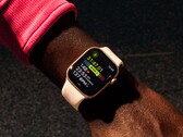 L'autonomie de la Apple Watch Series 11 ne sera probablement pas beaucoup plus longue que celle de la Series 10. (Source de l'image : Apple)