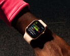 L'autonomie de la Apple Watch Series 11 ne sera probablement pas beaucoup plus longue que celle de la Series 10. (Source de l'image : Apple)