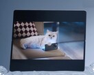 Le Vivo X Fold5 est censé fonctionner avec la montre Apple ainsi qu'avec les iPhones, les MacBooks et iCloud. (Source de l'image : Vivo)