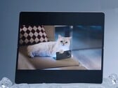Le Vivo X Fold5 est censé fonctionner avec la montre Apple ainsi qu'avec les iPhones, les MacBooks et iCloud. (Source de l'image : Vivo)