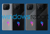 (Source : Windows Report)