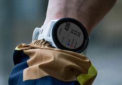 La Forerunner 955 continue de recevoir des mises à jour logicielles stables en accord avec les modèles plus récents. (Source de l&#039;image : Garmin)