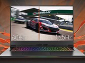 Le 1440p pourrait devenir la nouvelle résolution standard pour les ordinateurs portables de jeu dans les prochaines années. (Source de l'image : Eluktronics)