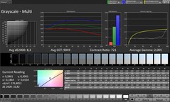 CalMAN Niveaux de gris