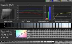 CalMAN Niveaux de gris