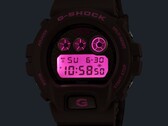 Montre Casio G-Shock x Hardies NYC DW-6900HH-5
