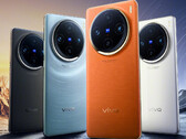 Le Vivo X100 est doté d'un écran AMOLED incurvé et d'un triple appareil photo à l'arrière. (Source : Vivo)