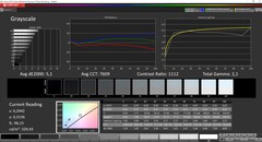 CalMAN Colorchecker Niveaux de gris