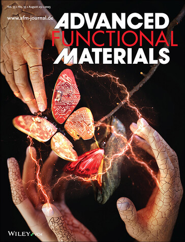 L'invention de SK On contre la dendrite de lithium fait la couverture du magazine Advanced Functional Materials