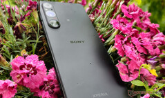 Le Xperia 1 VI devrait conserver le format 21:9 propre à Sony, comme le montre la photo de son prédécesseur. (Source de l'image : Notebookcheck)