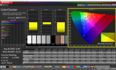 Calman ColorChecker après étalonnage