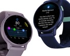 Le résumé quotidien, les alertes de repos et les alertes de stress sont déjà disponibles sur le Vivoactive 5 (ci-dessus). (Source de l'image : Garmin).