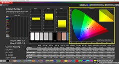 CalMAN ColorChecker (profil : Native, espace colorimétrique cible : P3)