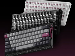 Clavier gaming Iqunix EV63 à effet Hall en noir, noir avec touches transparentes et blanc avec touches transparentes.