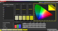 CalMAN Saturation calibrée (espace couleur cible : P3)