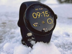 La Pixel Watch 2 reçoit une nouvelle mise à jour. (Source de l&#039;image : Benedikt Winkel)