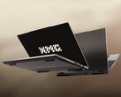 La série XMG EVO M24 dispose de deux emplacements SO-DIMM pour la mise à niveau de la mémoire vive. (Source : XMG)