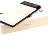 Les Google Pixel 6 et Pixel 6 Pro utilisent le SoC Tensor interne de l'entreprise. (Source : Notebookcheck)