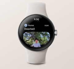 L'application Google Home peut désormais afficher des notifications avec des images de sonnettes vidéo Nest sur certaines smartwatches Wear OS 3. (Source de l'image : Google)
