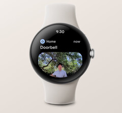 L&#039;application Google Home peut désormais afficher des notifications avec des images de sonnettes vidéo Nest sur certaines smartwatches Wear OS 3. (Source de l&#039;image : Google)