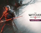 Couverture officielle de l'extension The Witcher 3: Songs of the Past.
