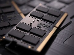 Les modules DIMM DDR5 répertoriés devraient arriver chez les détaillants en novembre. (Image Source : TeamGroup)
