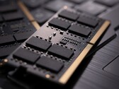Les modules DIMM DDR5 répertoriés devraient arriver chez les détaillants en novembre. (Image Source : TeamGroup)