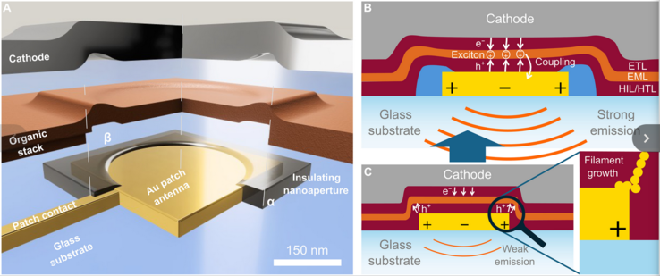 (Source de l'image : Science.org)