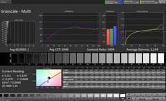 Échelles de gris CalMAN