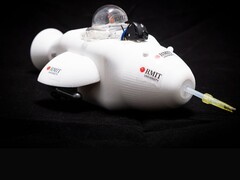 Le dauphin électronique